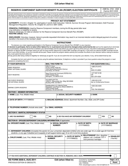 dd-2656-5 form