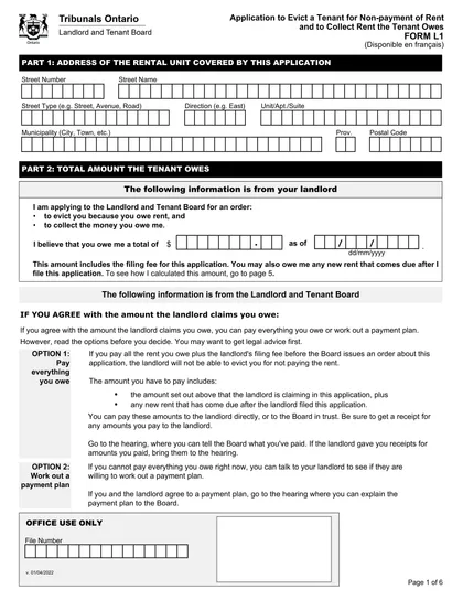 L1 form
