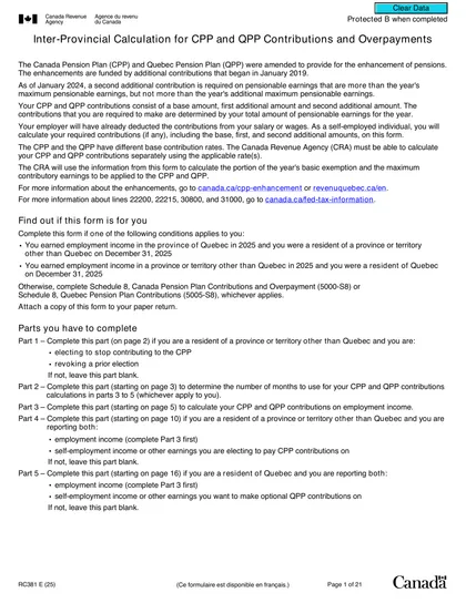 rc381 form